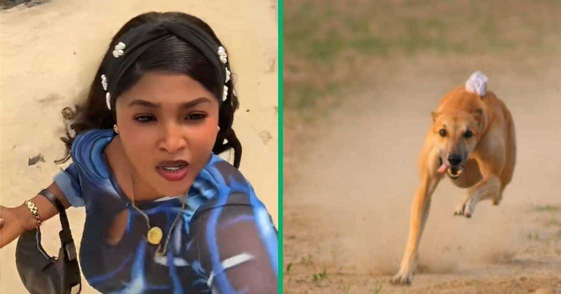 Woman mistaken about dog chasing her in TikTok video Woman mistaken about dog chasing her in TikTok video