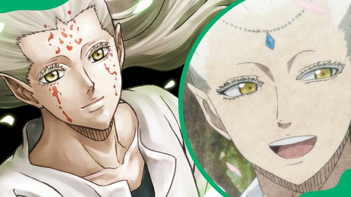 Licht from Black Clover Licht from Black Clover
