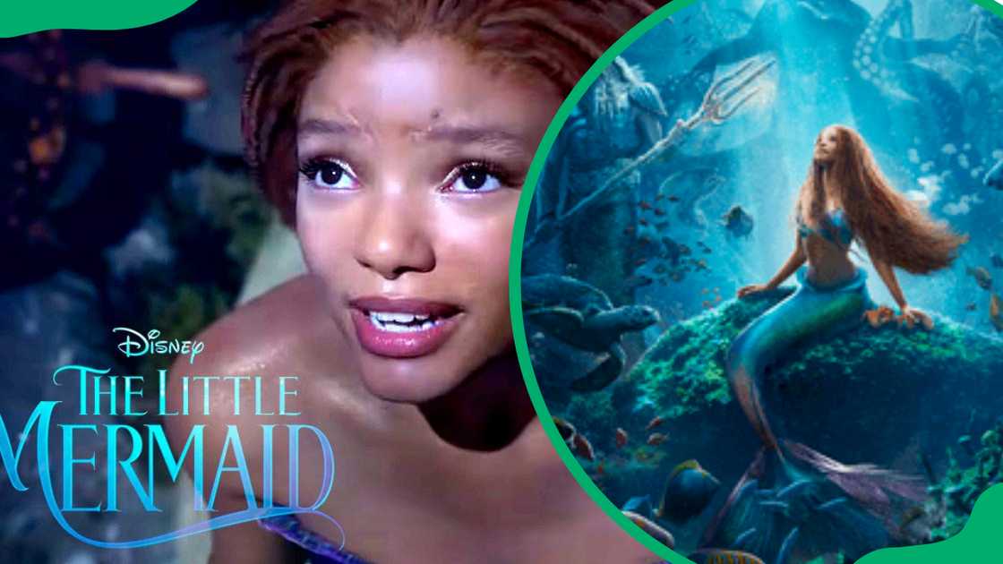 The Little Mermaid The Little Mermaid