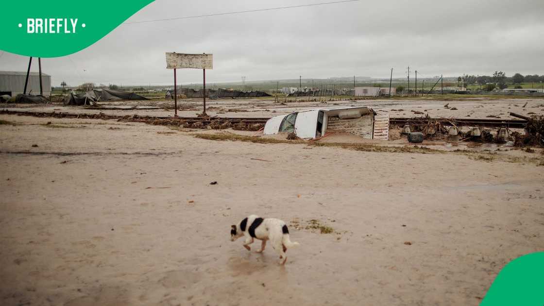 The South African Weather Service warned of floods for the remainder of the festive season