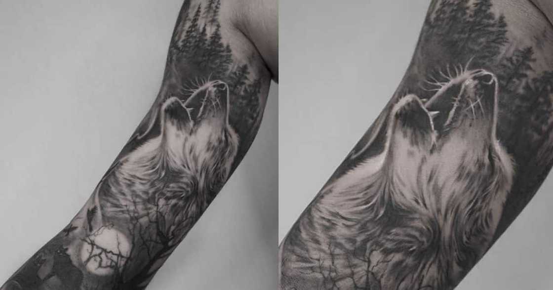 Howling wolf Howling wolf