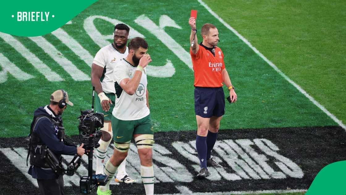 Springboks, South Africa, Lood De Jager, Autumn Nations Series 2025