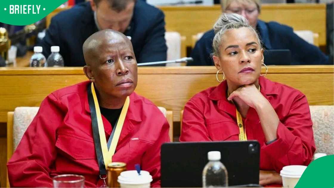 The EFF has opened a perjury case against Cedric Nkabinde