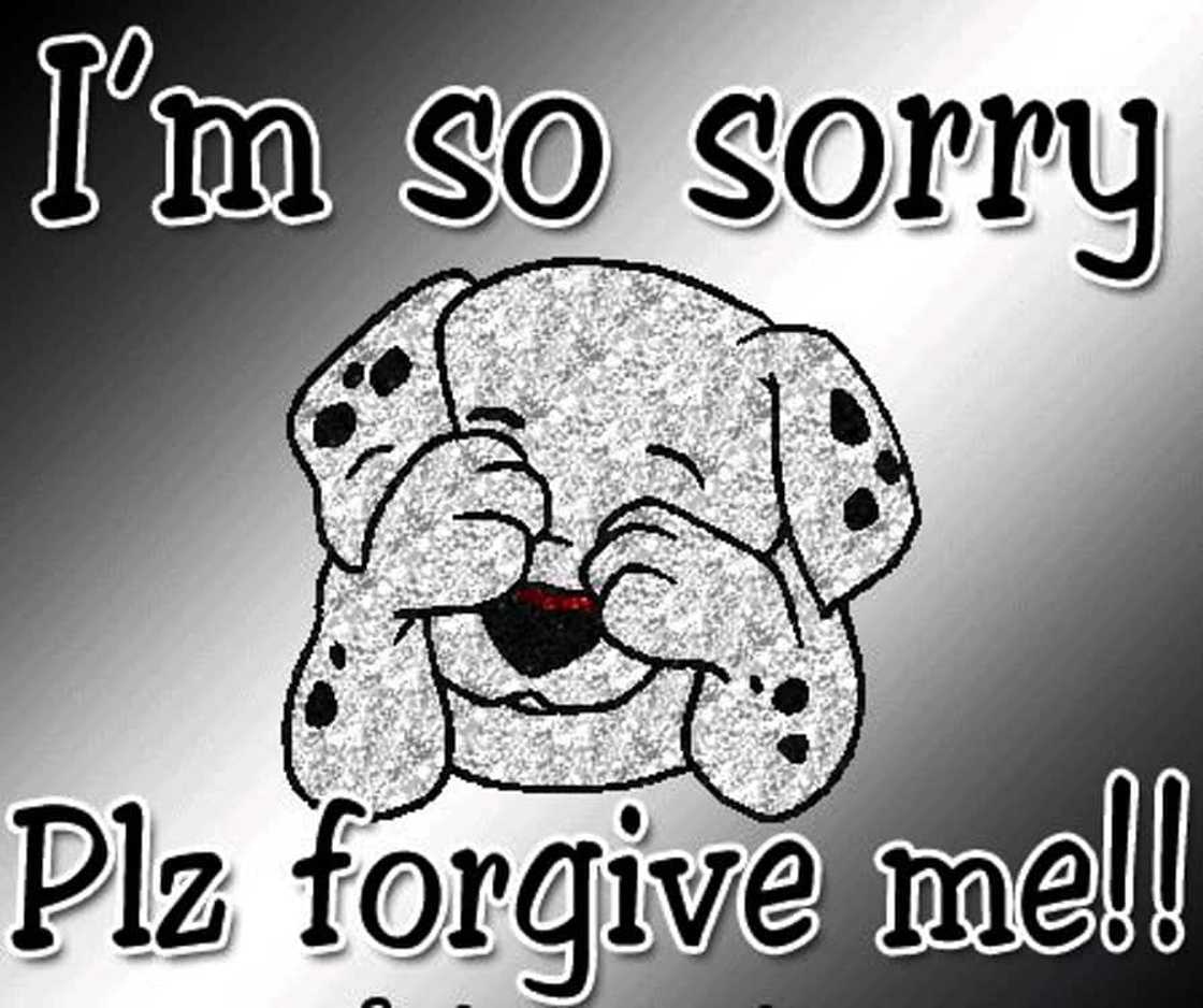 40 melting Im sorry quotes with images 2019 40 melting Im sorry quotes with images 2019