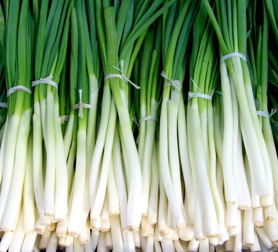 winter vegetables South Africa winter vegetables South Africa