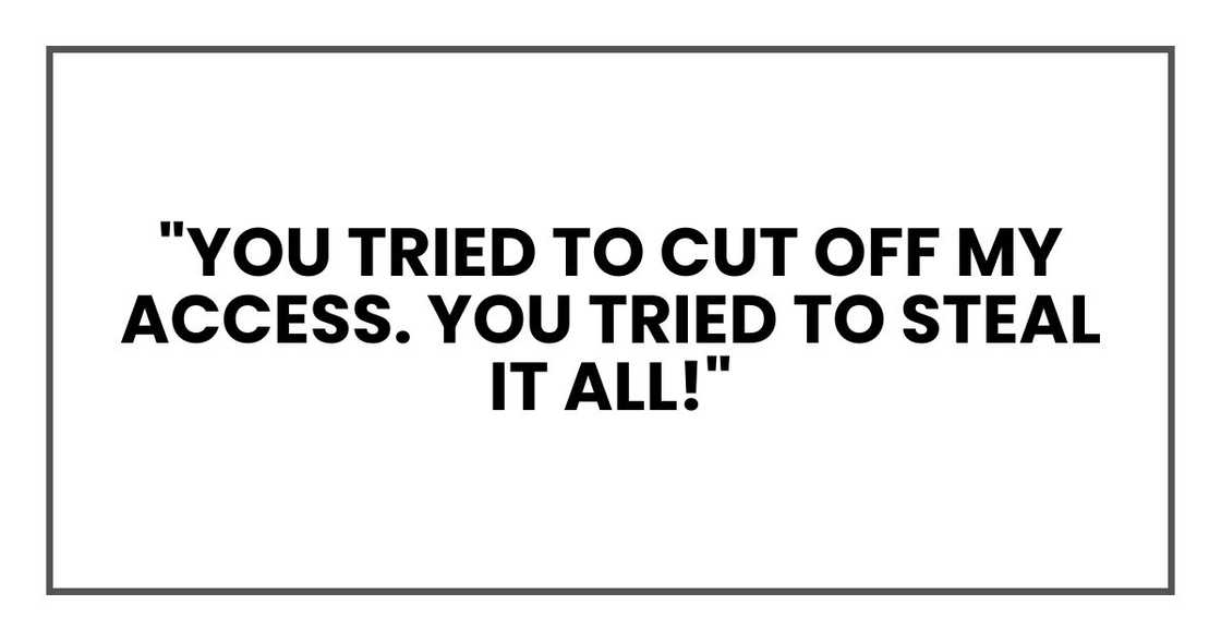 "You tried to cut off my access. You tried to steal it all!"