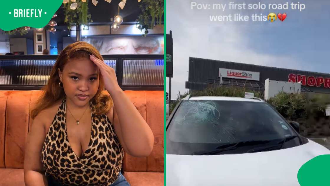 SA woman’s solo road trip goes wrong after bird smashes into windshield SA woman’s solo road trip goes wrong after bird smashes into windshield