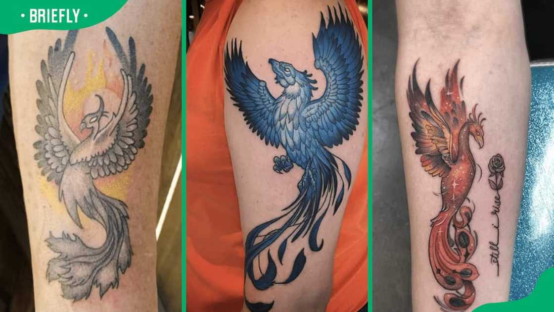Stunning phoenix tattoo designs Stunning phoenix tattoo designs