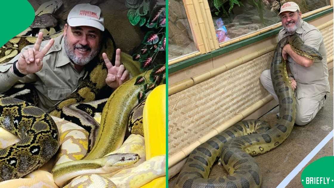 A man shocked online users as he lay in a cage filled with different types of snakes.