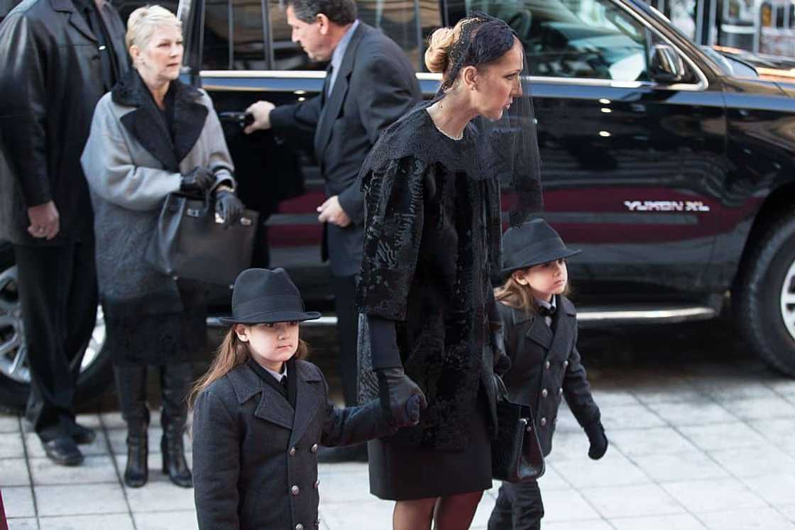 What do Celine Dion's children do?