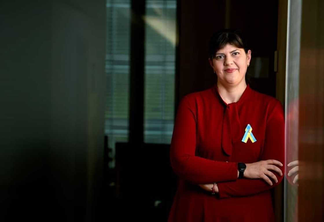 'You need just an accountant, a lawyer' to carry out financial crime, says European Chief Prosecutor Laura Kovesi 'You need just an accountant, a lawyer' to carry out financial crime, says European Chief Prosecutor Laura Kovesi