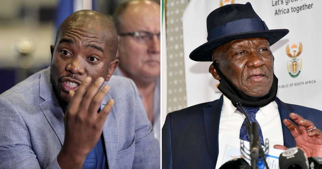 One SA movement leader, Mmusi Maimane, ANC politicians, struggle credentials, Police Minister Bheki Cele, Action Society, Ian Cameron One SA movement leader, Mmusi Maimane, ANC politicians, struggle credentials, Police Minister Bheki Cele, Action Society, Ian Cameron