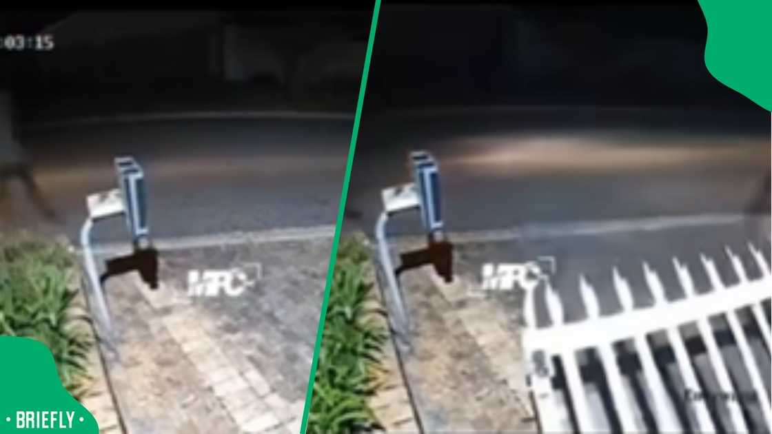 South Africans can't stop laughing at a viral CCTV video where a group of robbers' plan fails spectacularly South Africans can't stop laughing at a viral CCTV video where a group of robbers' plan fails spectacularly
