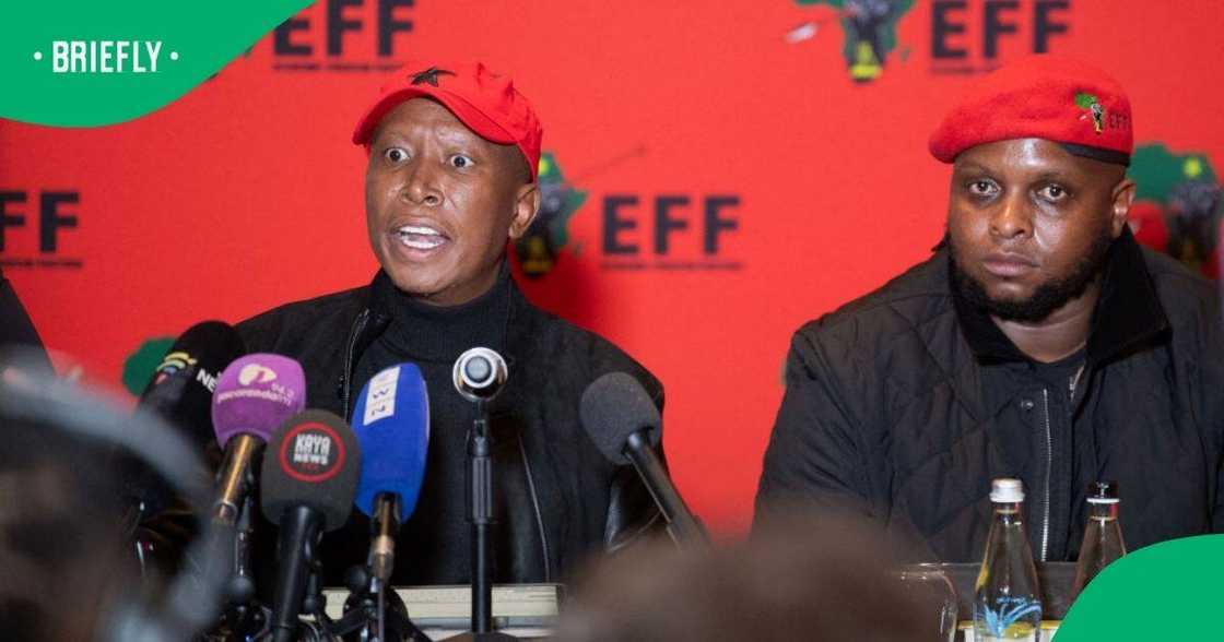 EFF leaders Julius Malema and Floyd Shivambu were implicated in an affidavit by convicted VBS Mutual Bank chairperson Tshifhiwa Matodzi