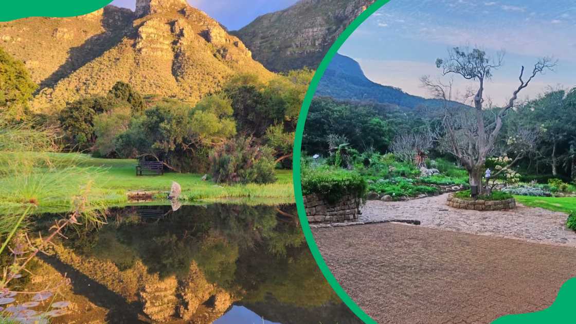 Kirstenbosch Gardens is a picnic spots in Cape Town Kirstenbosch Gardens is a picnic spots in Cape Town