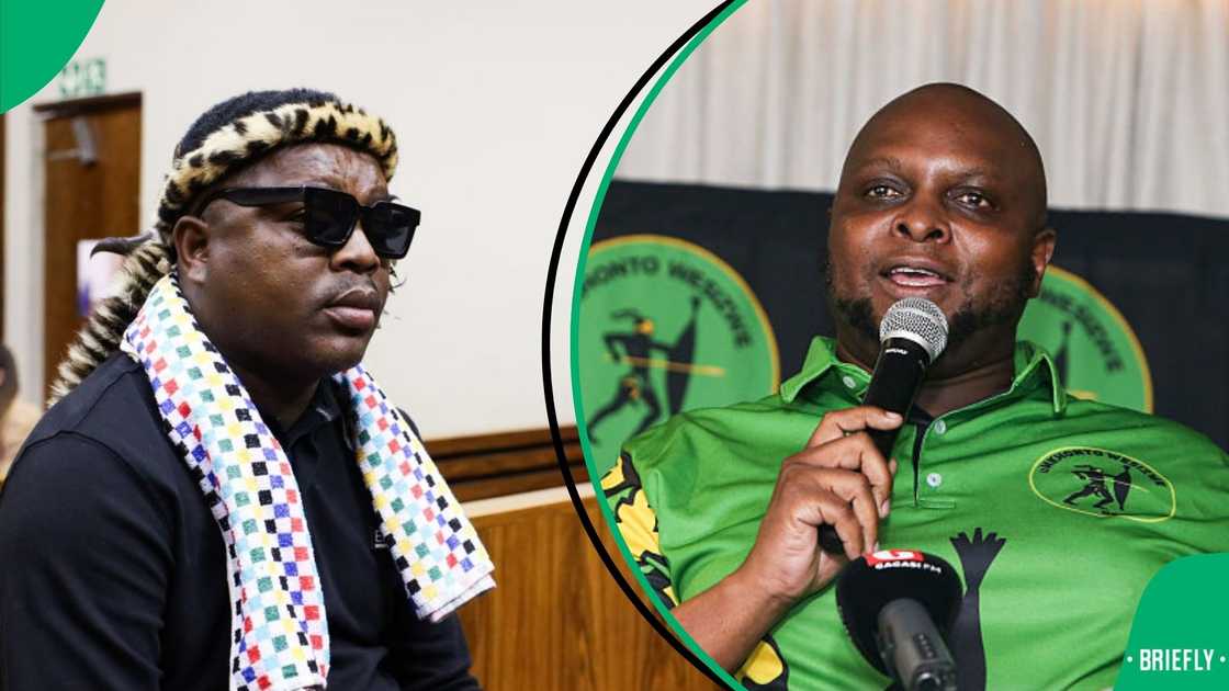 Ngizwe Mchunu has advised Floyd Shivambu Ngizwe Mchunu has advised Floyd Shivambu