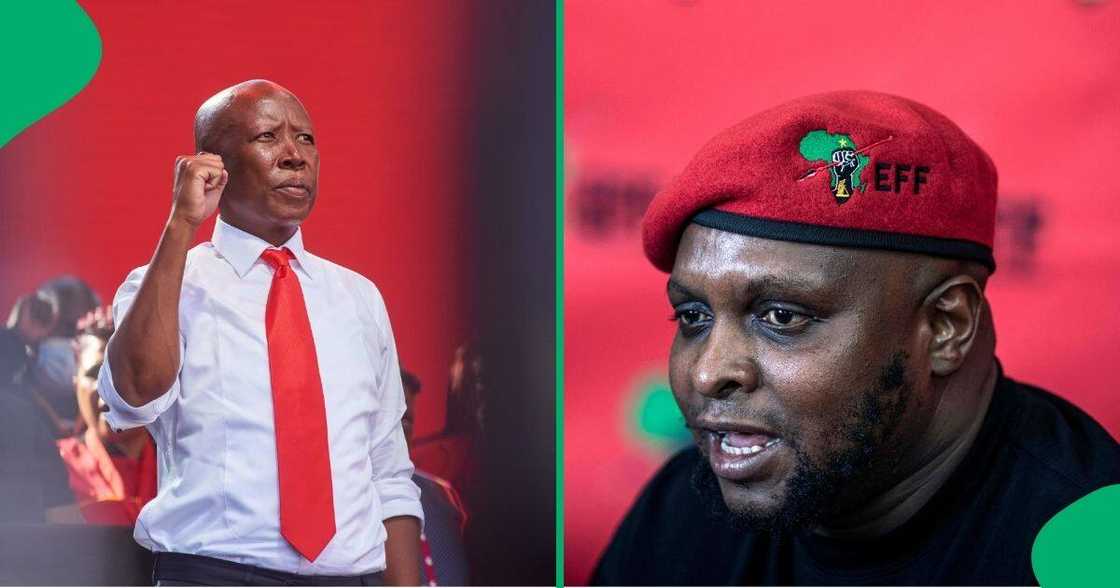 DA demands are "racist" according to Floyd Shivambu