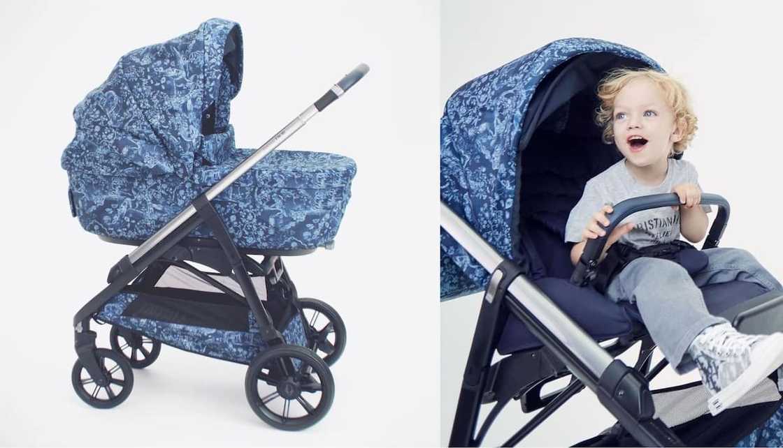 Dior x Inglesina Bassinet and Stroller Combo Dior x Inglesina Bassinet and Stroller Combo