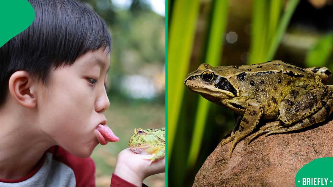 A post went viral. A post went viral.