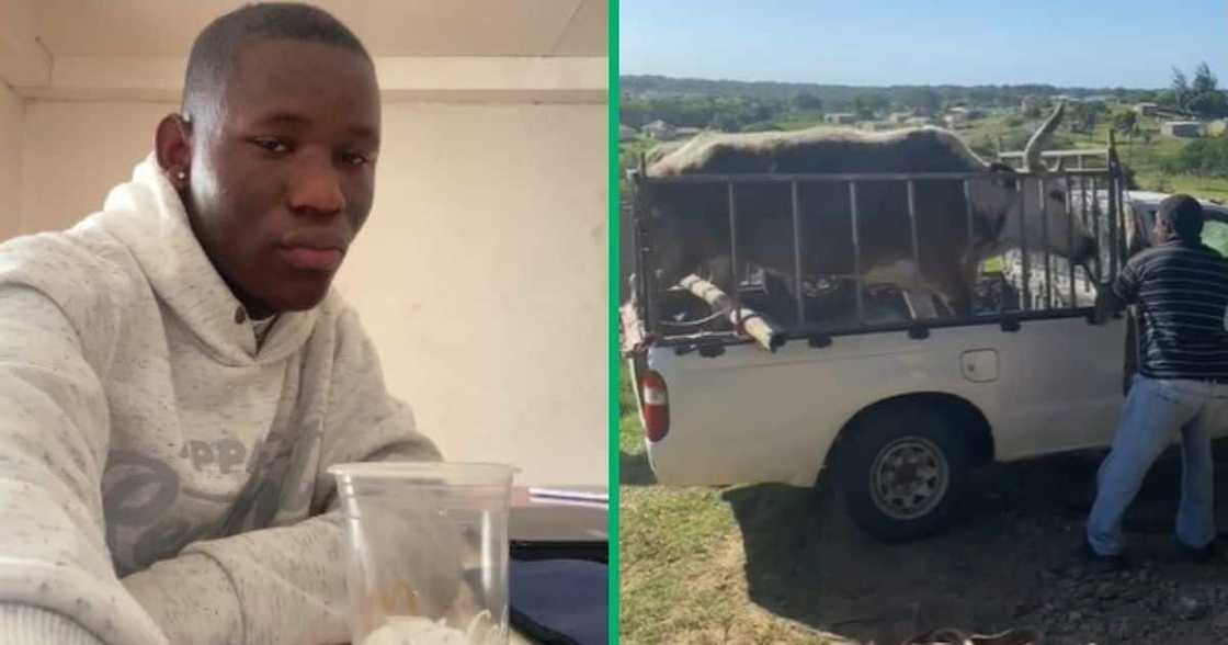 KZN St lLcia in TikTok video