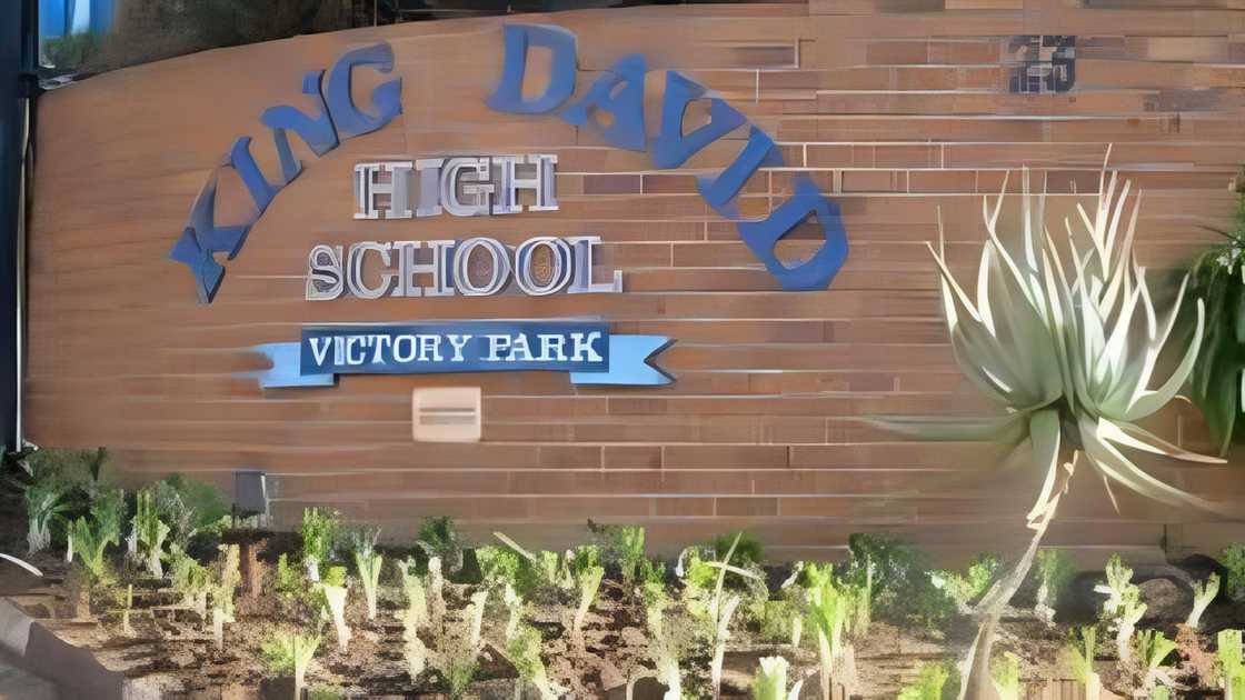 King David King David