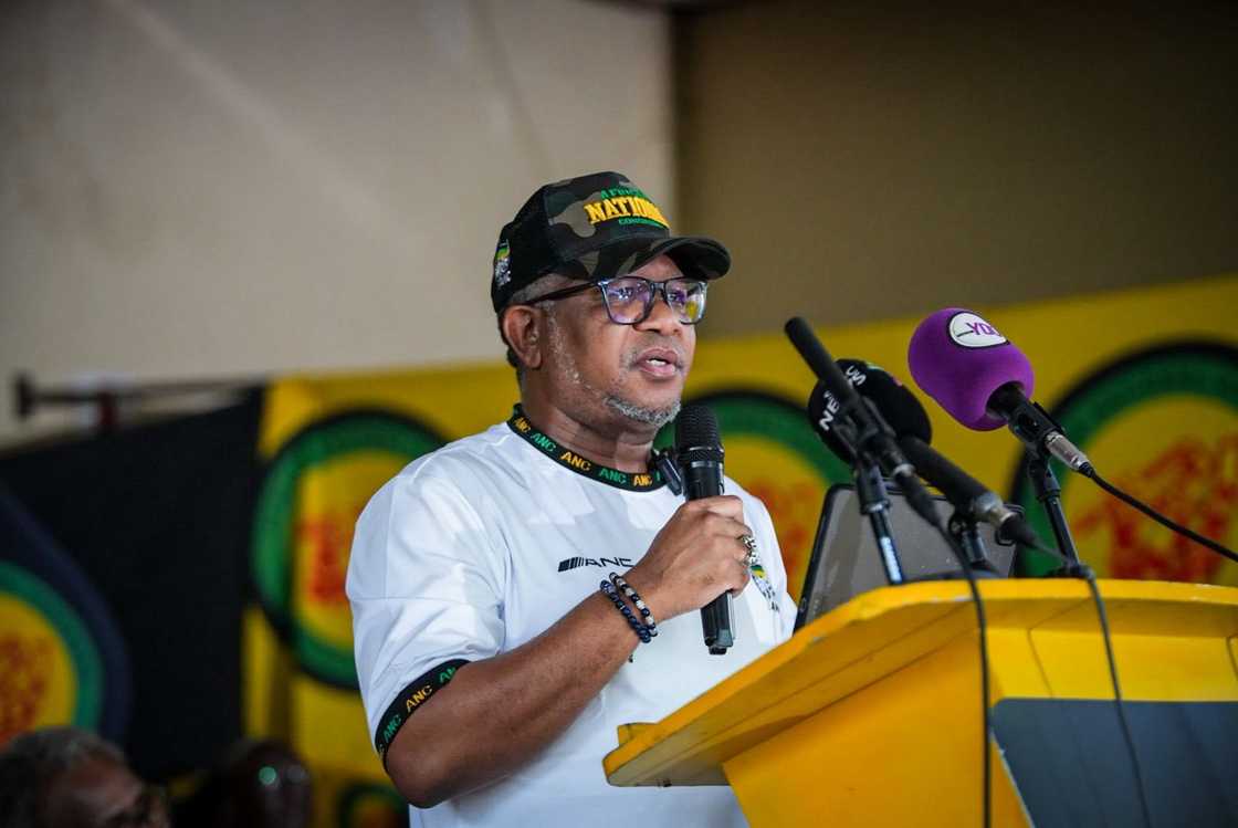 Fikile Mbalula was roasted on social media for a book wrap Fikile Mbalula was roasted on social media for a book wrap