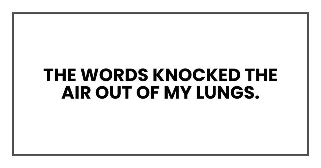 The words knocked the air out of my lungs.