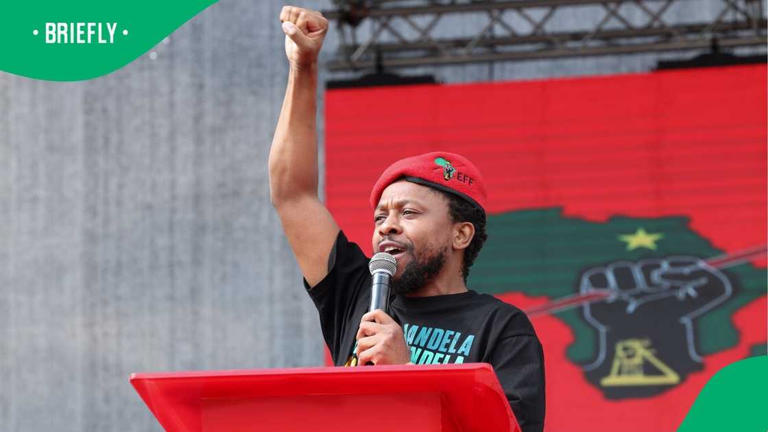 Dr Mbuyiseni Ndlozi