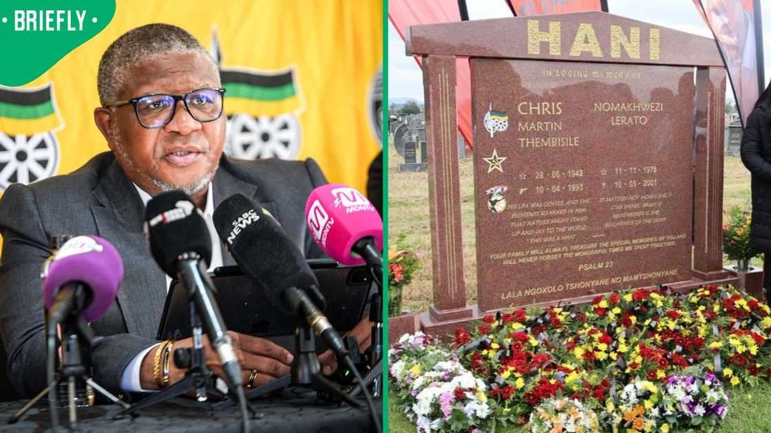 Fikile Mbalula has called for calm after tensions rose at a wreath-laying ceremony in honour of Chris Hani Fikile Mbalula has called for calm after tensions rose at a wreath-laying ceremony in honour of Chris Hani