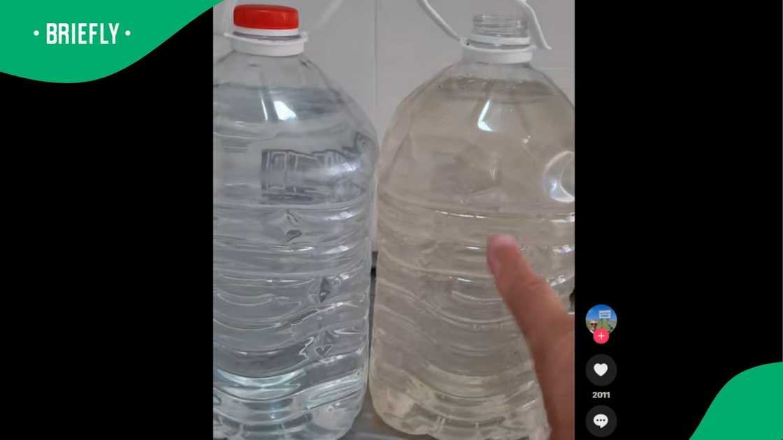 A clip went viral. A clip went viral.