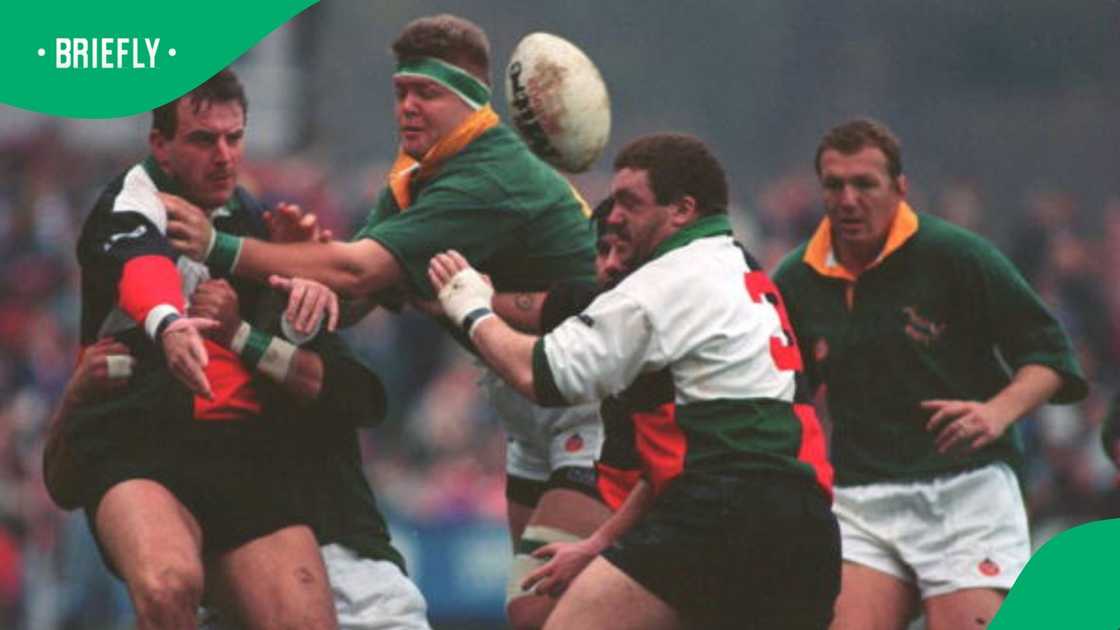 Springboks, Kobuus Wiese