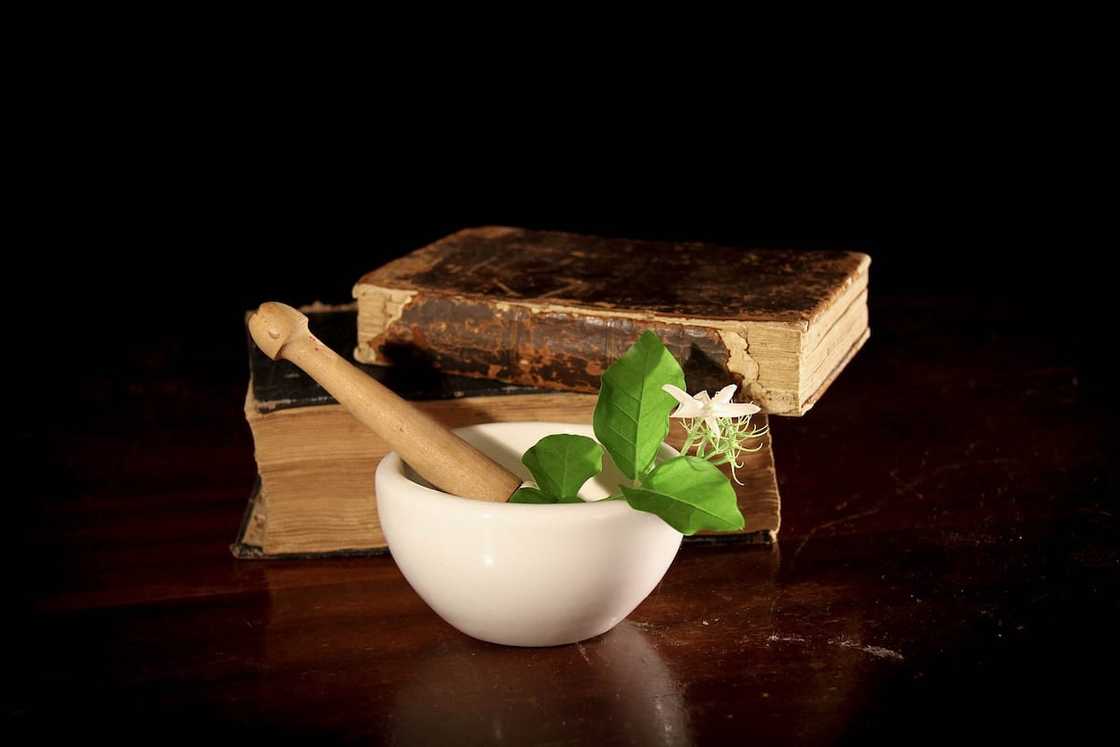 medicinal plants of South Africa medicinal plants of South Africa
