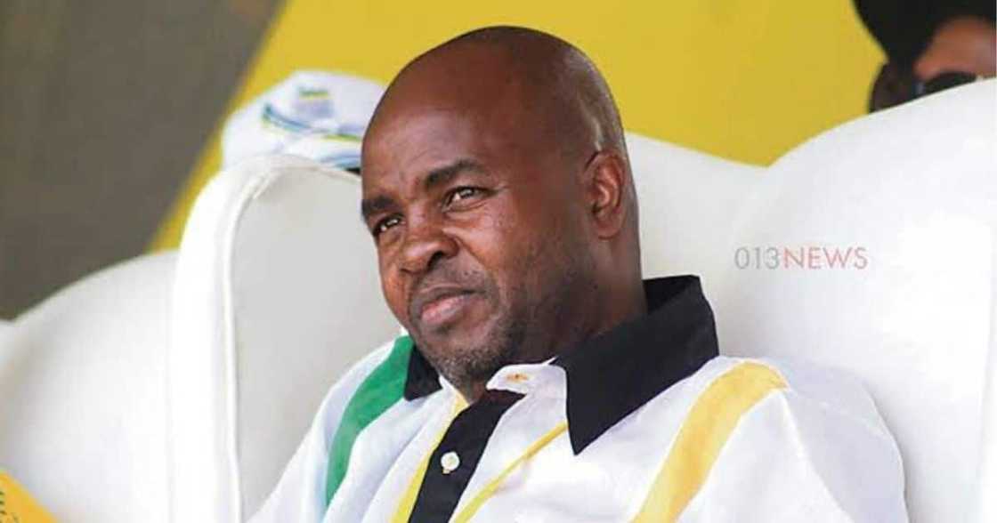 ANC Mpumalanga chairperson, Mandla Ndlovu, paying job, join PEC, unemployment ANC Mpumalanga chairperson, Mandla Ndlovu, paying job, join PEC, unemployment