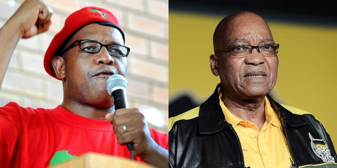 Dali Mpofu Represents Jacob Zuma, SA Says: "You Can't Trust These EFF People"