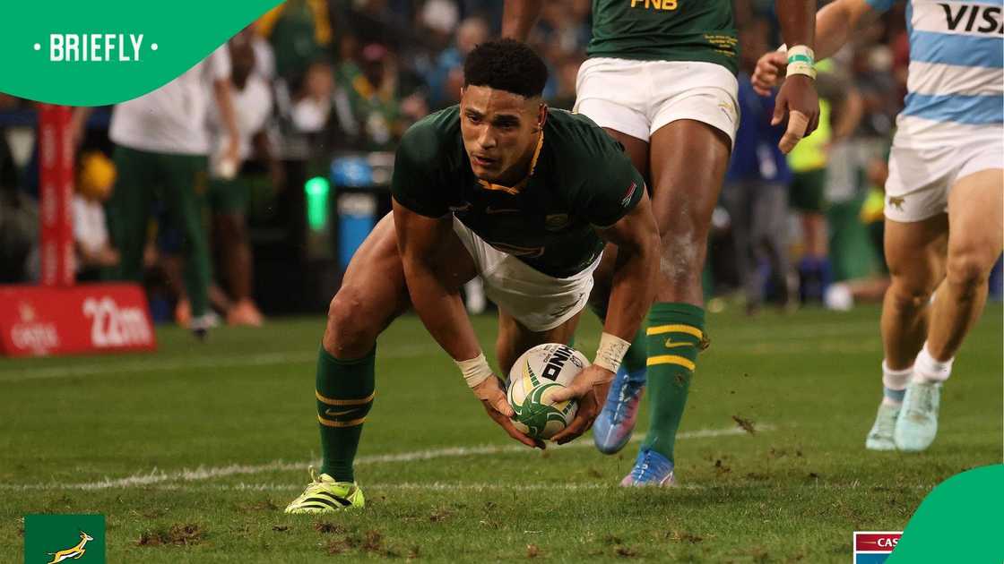 Springboks, Rugby Championship, South Africa, Los Pumas