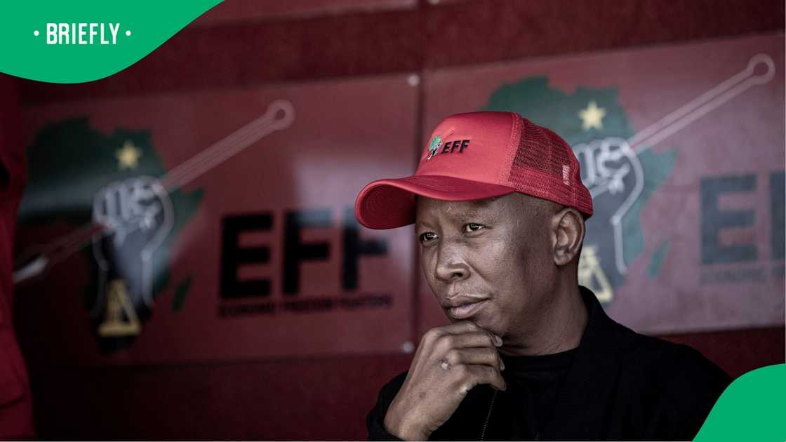 Julius Malema mocked the MK Party and its leader
