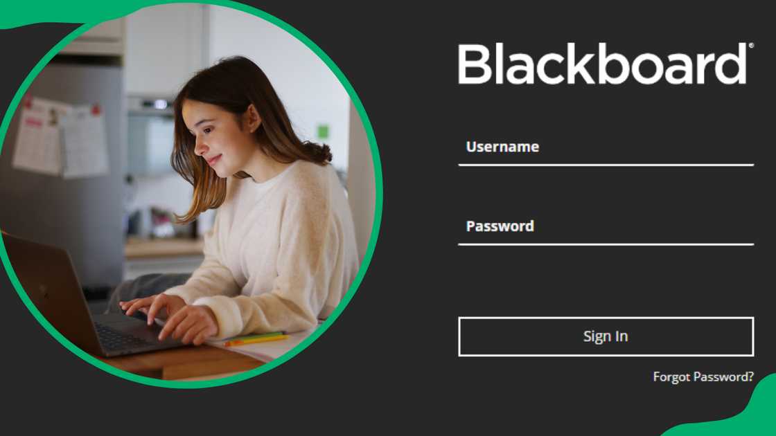 UL’s login process UL’s login process
