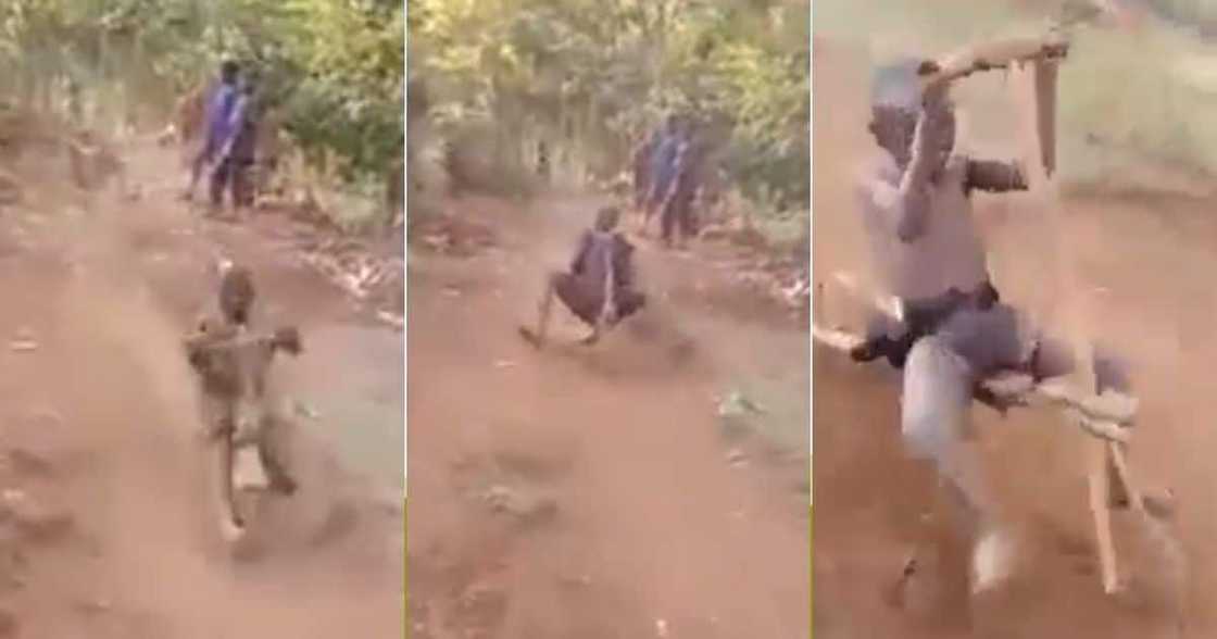 Mzansi, Video, Kids, Car Game, Formula 1 Mzansi, Video, Kids, Car Game, Formula 1