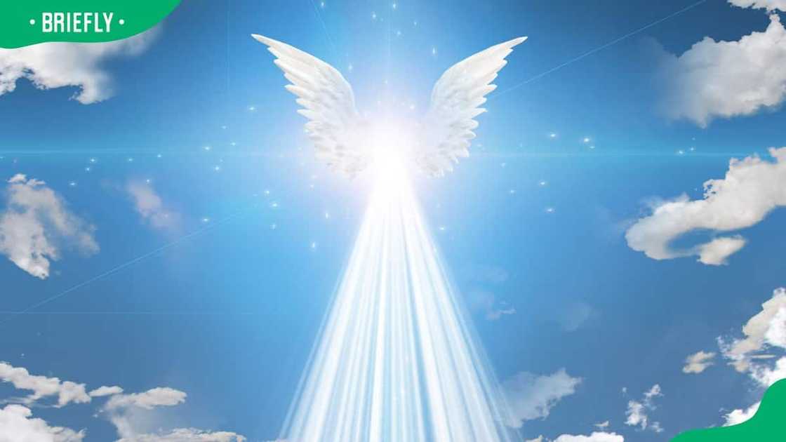 A pair of white angel wings in a clear sky A pair of white angel wings in a clear sky