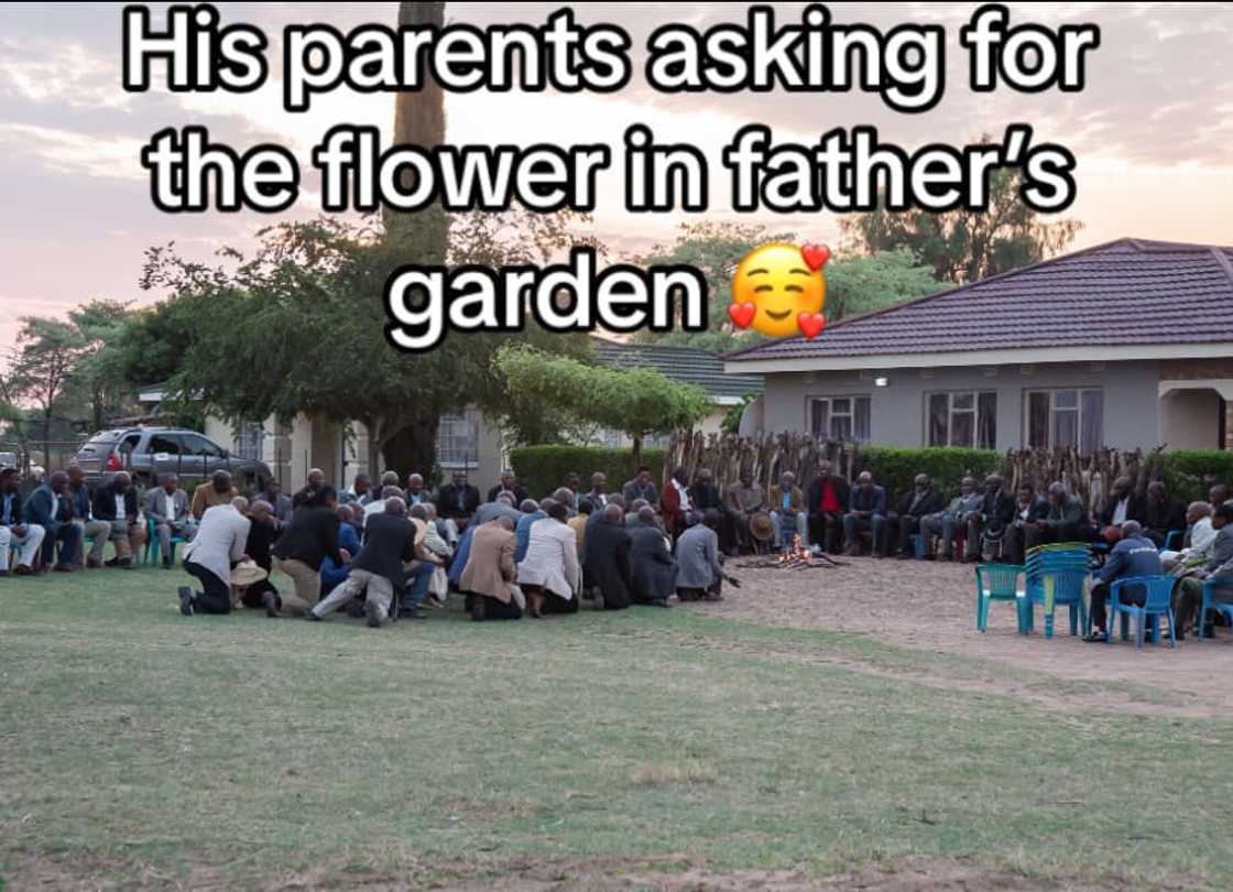 TikTok user showed off Tswana lobola negotiations. TikTok user showed off Tswana lobola negotiations.