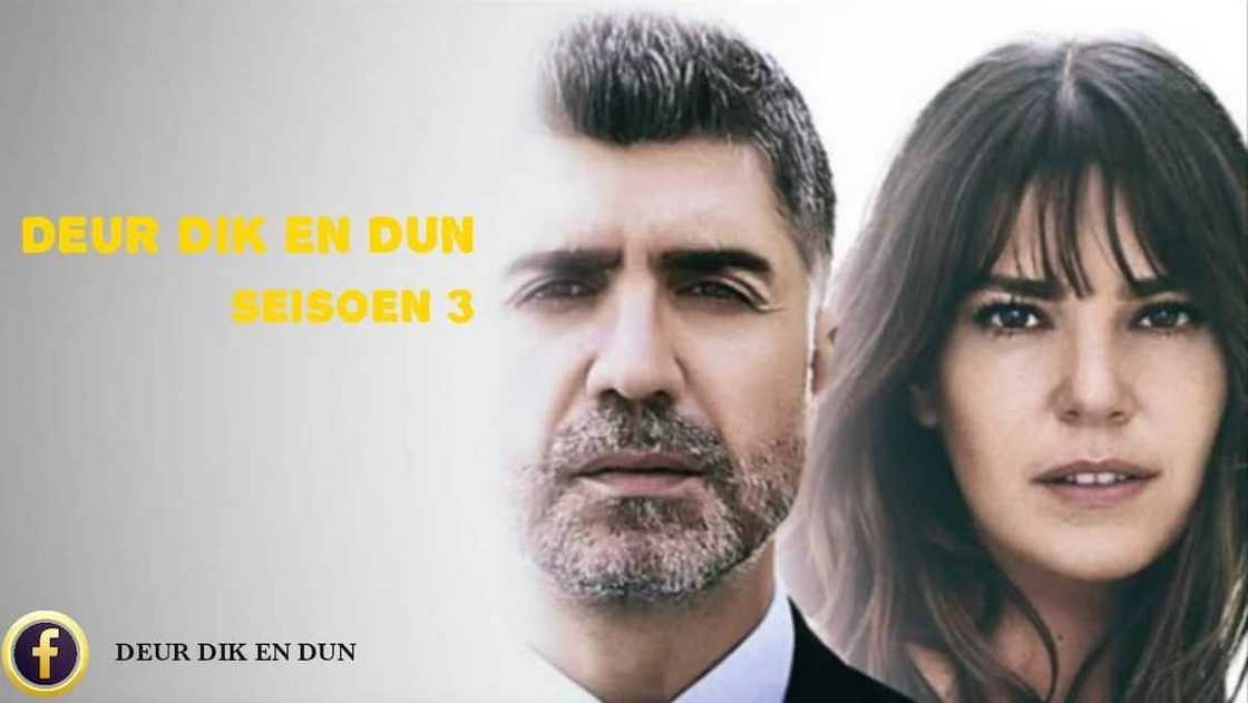 Deur Dik en Dun 3 storyline Deur Dik en Dun 3 storyline