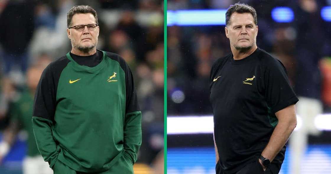 Bok coach Rassie Erasmus Bok coach Rassie Erasmus