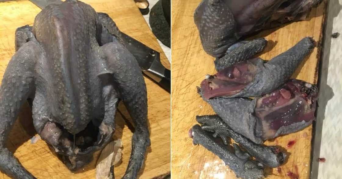Black chicken leaves Mzansi divided as lady asks for a recipe Black chicken leaves Mzansi divided as lady asks for a recipe
