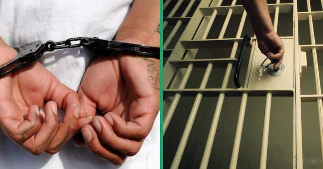 4 Laughing Boys gang memebes receive harsh sentences 4 Laughing Boys gang memebes receive harsh sentences