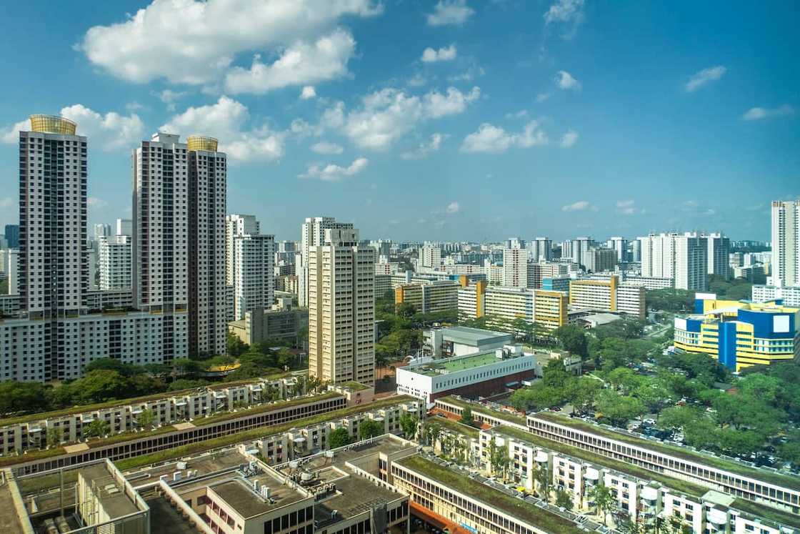 How to get rich in South Africa How to get rich in South Africa