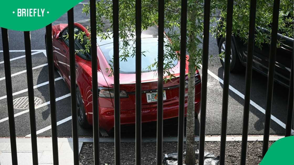 Donald Trump's red Tesla Donald Trump's red Tesla