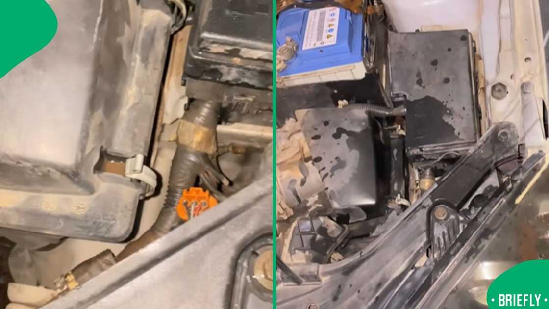 The screenshot on the right showed the moment they were trying to remove the snake The screenshot on the right showed the moment they were trying to remove the snake