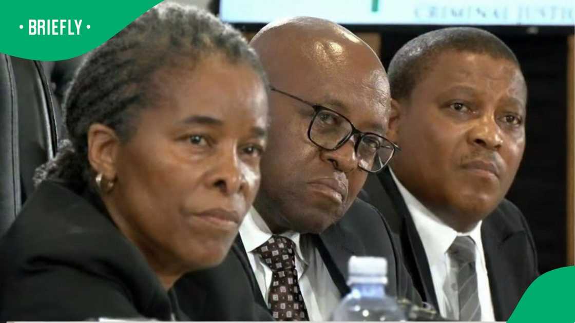 The Presidency stated that the interim report would assist the President in understanding the evidence collected so far The Presidency stated that the interim report would assist the President in understanding the evidence collected so far