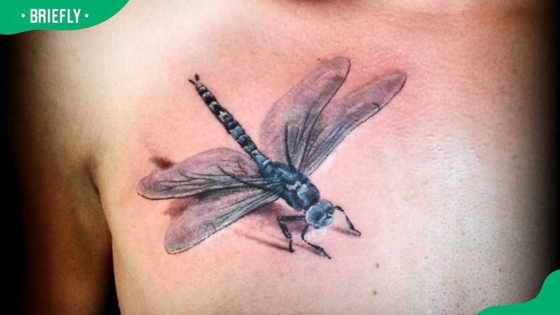 3D dragonfly tattoo 3D dragonfly tattoo