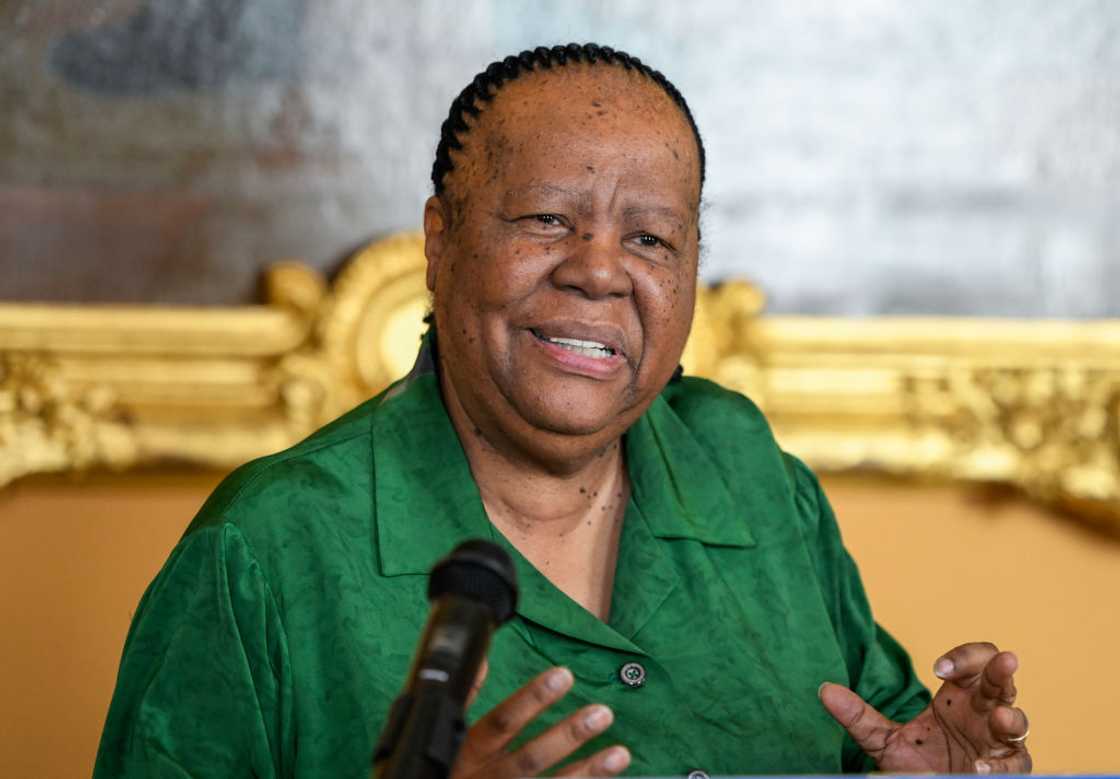 Naledi Pandor was the subject of William Madisha's viral parliament moment Naledi Pandor was the subject of William Madisha's viral parliament moment